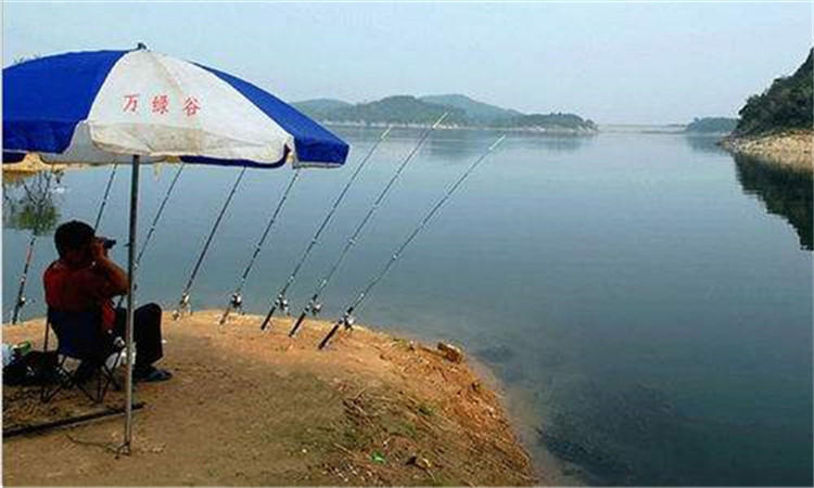 鱼护怎么防止老化,好一点的鱼护有必要吗