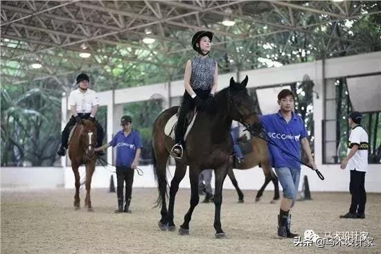 台湾养马场,台湾新竹马场