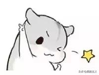 社区平价菜便民网点,海口市菜篮子社区便民店