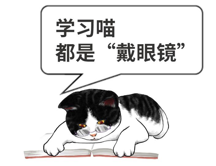 猫咪的天线有什么区别 (猫咪可以自带天线吗)