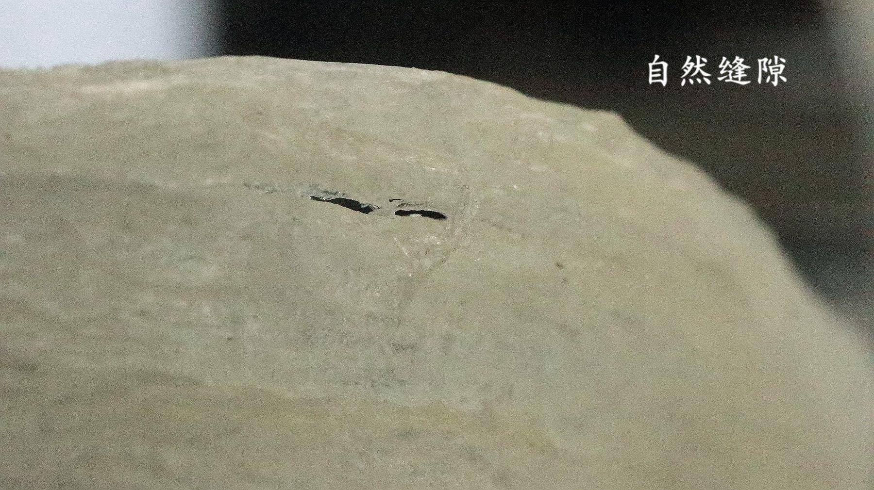 燕窝胶原蛋白七白饮是智商税吗,燕窝是天生好物吗