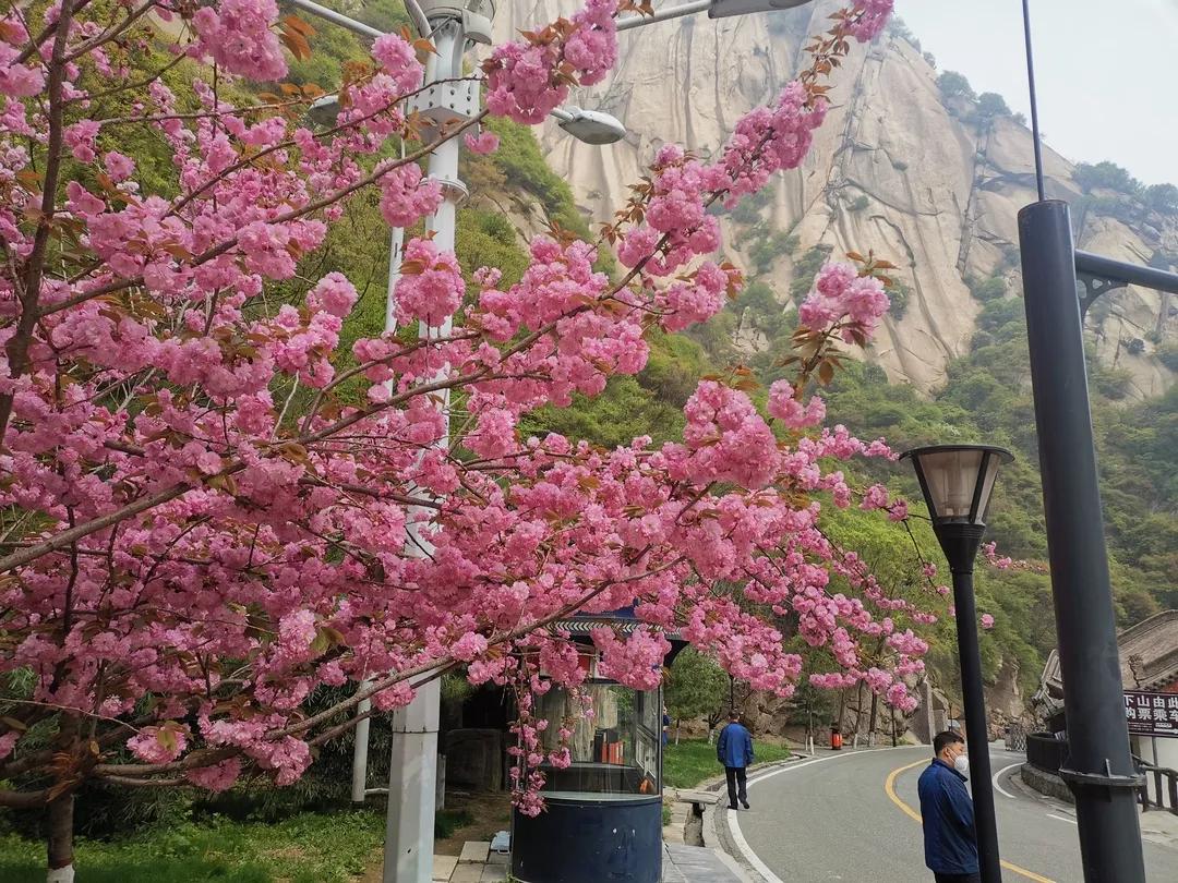 速收！如何玩转重启后的华山，看这篇就对了