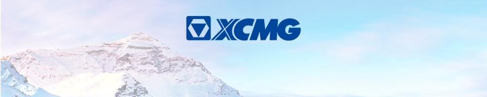 寰愬伐鍔╁姏寤鸿,寰愬伐闆嗗洟鏀彺姝︽眽