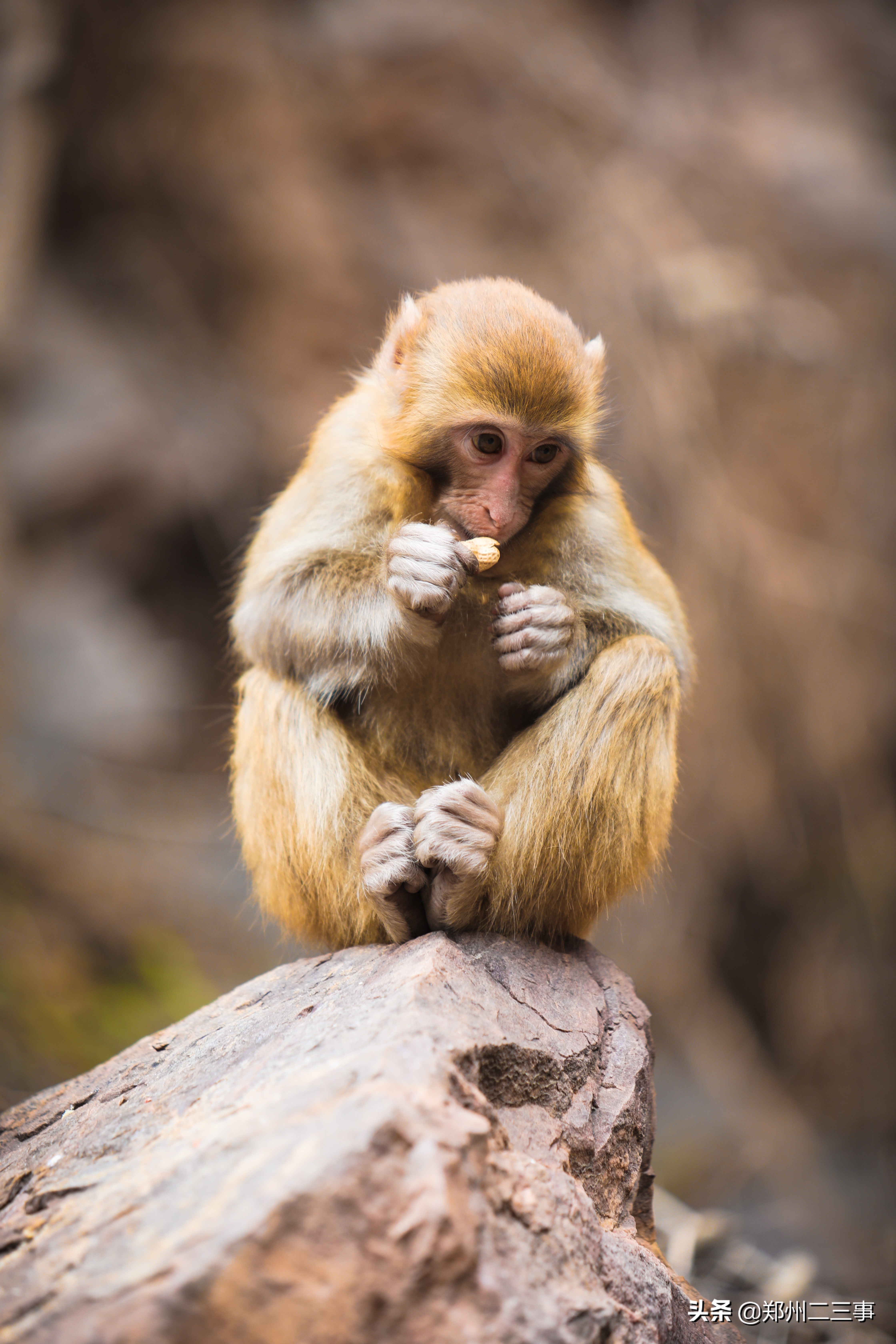 郑州惠济区免费遛娃好去处植物园,郑州遛娃踏青好去处