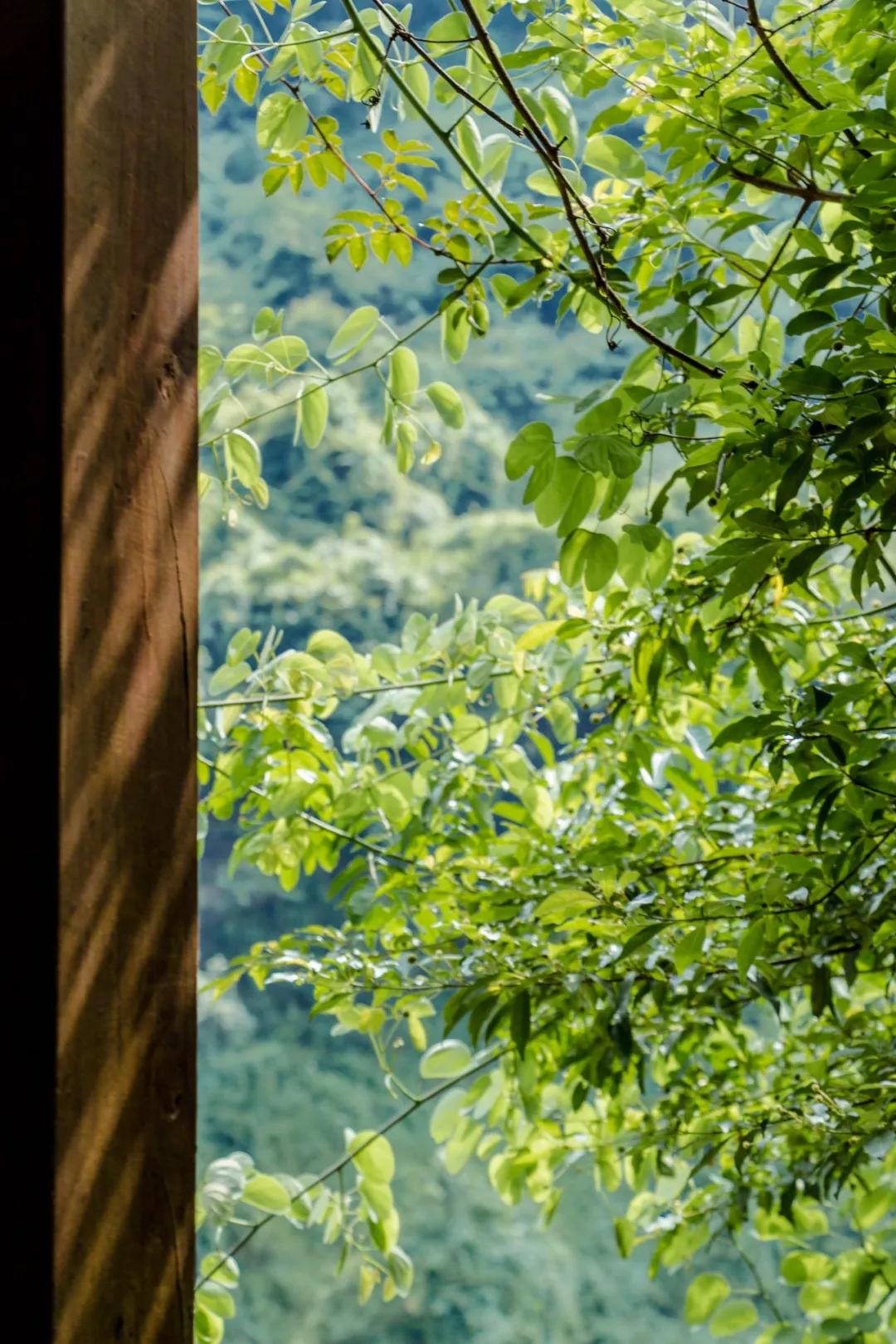 重庆轨道3号线,贵阳地铁3号线