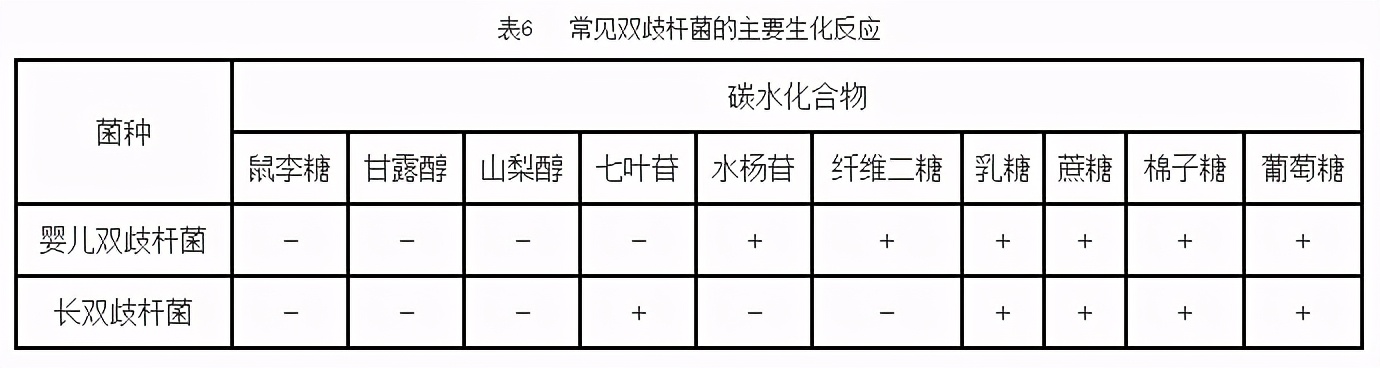 鉴定乳酸菌的常用的培养基是什么,乳酸菌微生物检测
