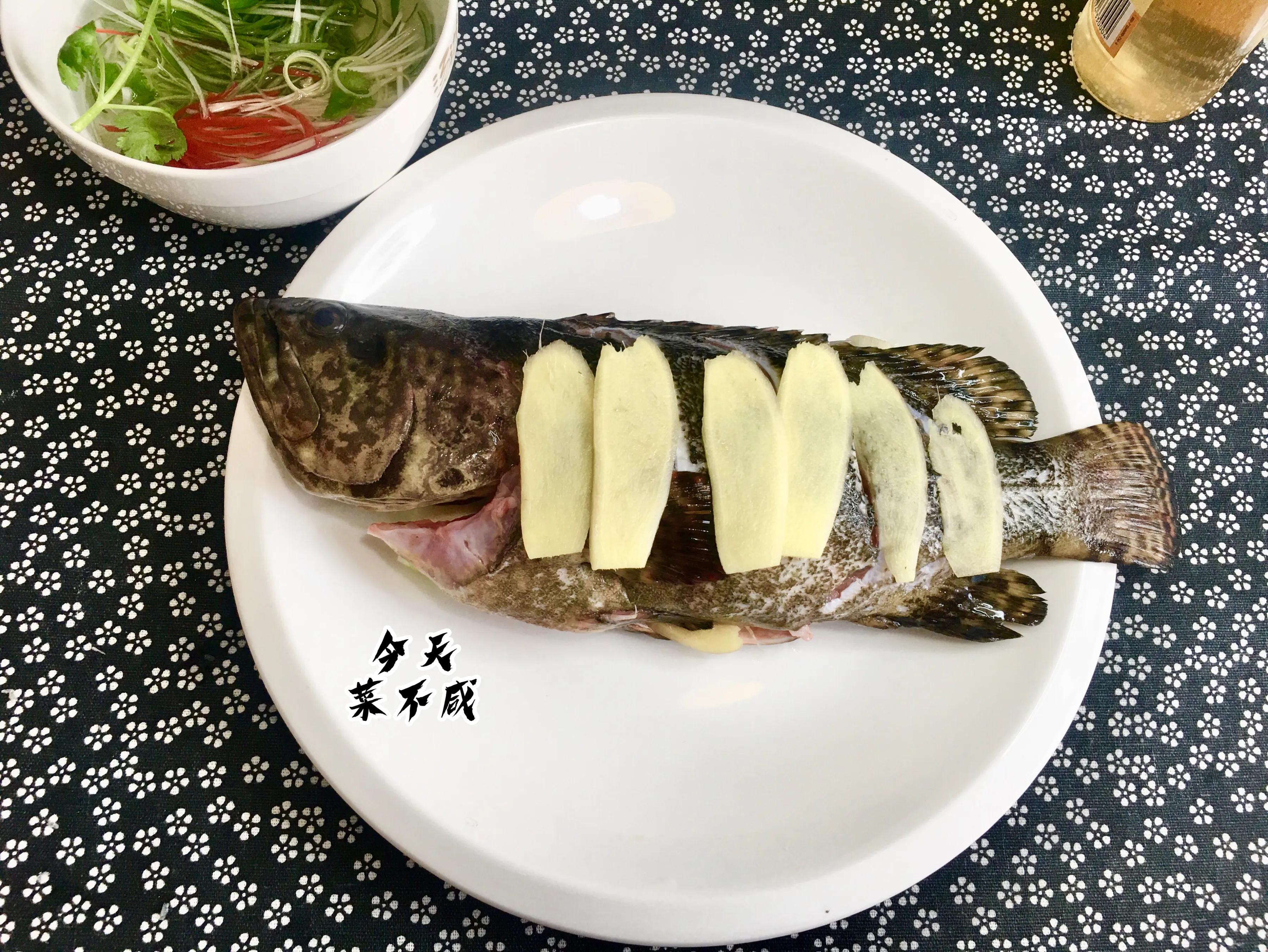 石斑鱼冷水蒸鱼还是开水蒸鱼好啊,石斑鱼蒸鱼切花刀盘圆视频教程