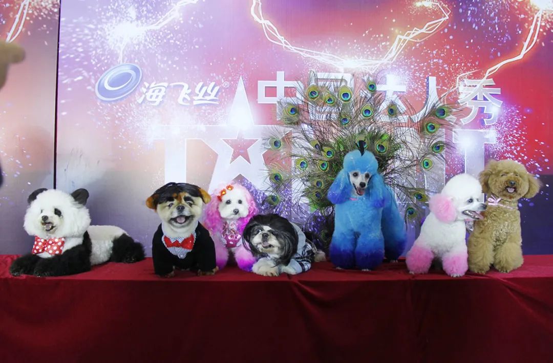 BlingBlink宠物彩妆粉亮相2021CPF广州国际宠博会