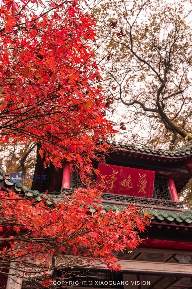 长沙国庆节游玩攻略,适合老年人游玩长沙攻略