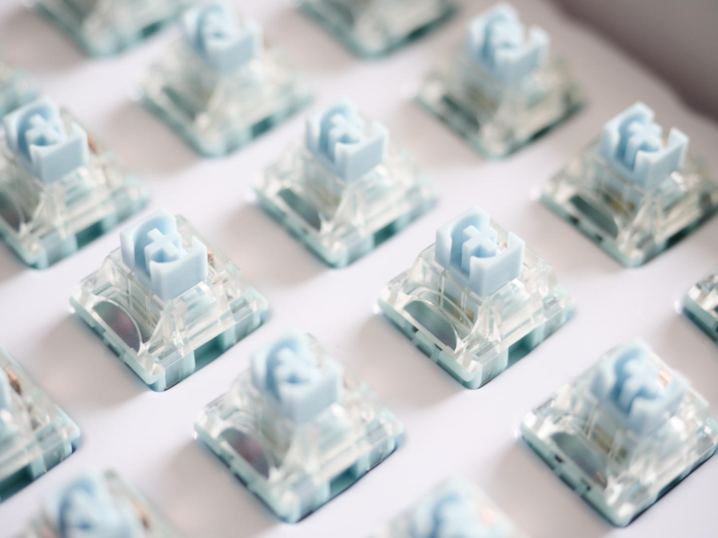 ttc金粉轴为什么比金红轴更受欢迎,ttc金粉轴为啥那么贵