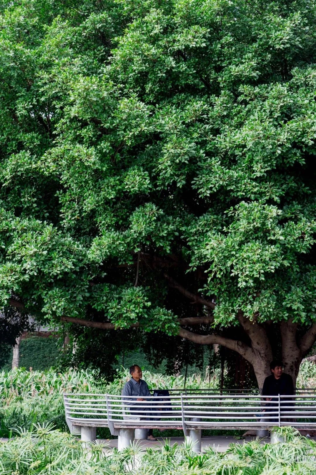 最美湖泊小众风景,最美湖泊西湖