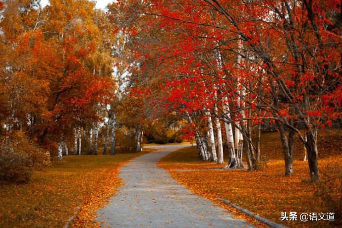 如何成为一个学霸的美文,如何成为一个学霸学习方法