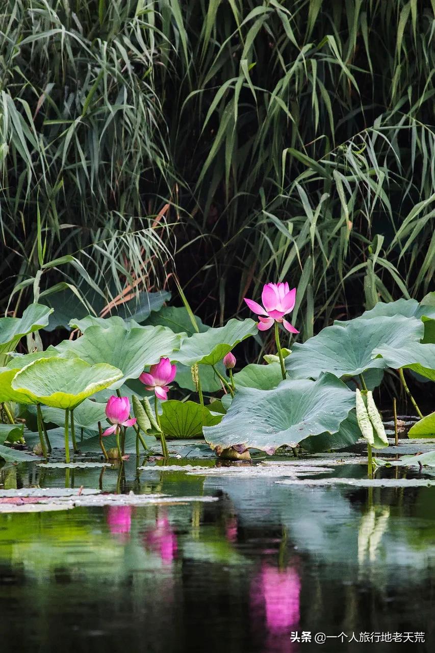 国内旅行必去的地方列表,国内必去的100个地方