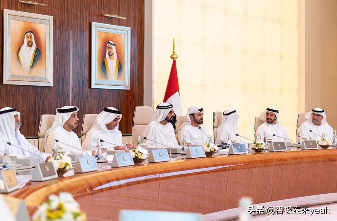 野心之大，一个阿拉伯半岛都装不下——MBZ（下）