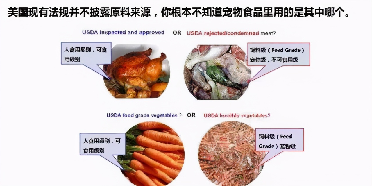 现在美国猫粮,为什么美国猫粮那么便宜