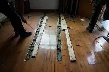 南方暴雨过后的水蚁有多可怕,暴雨后大水蚁怎么处理