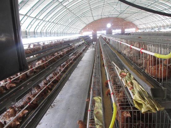 邮储银行海正药业抗疫贷款,邮储银行助力抗疫跑出新速度