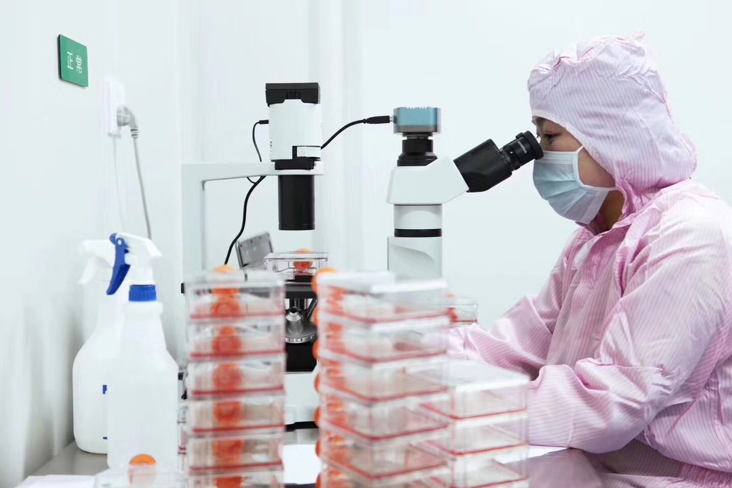 为什么说干细胞储存刻不容缓,干细胞储存知识普及是做什么的