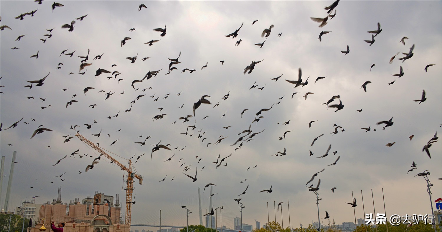 俄罗斯远东海参崴淘金,俄罗斯海参崴富裕吗