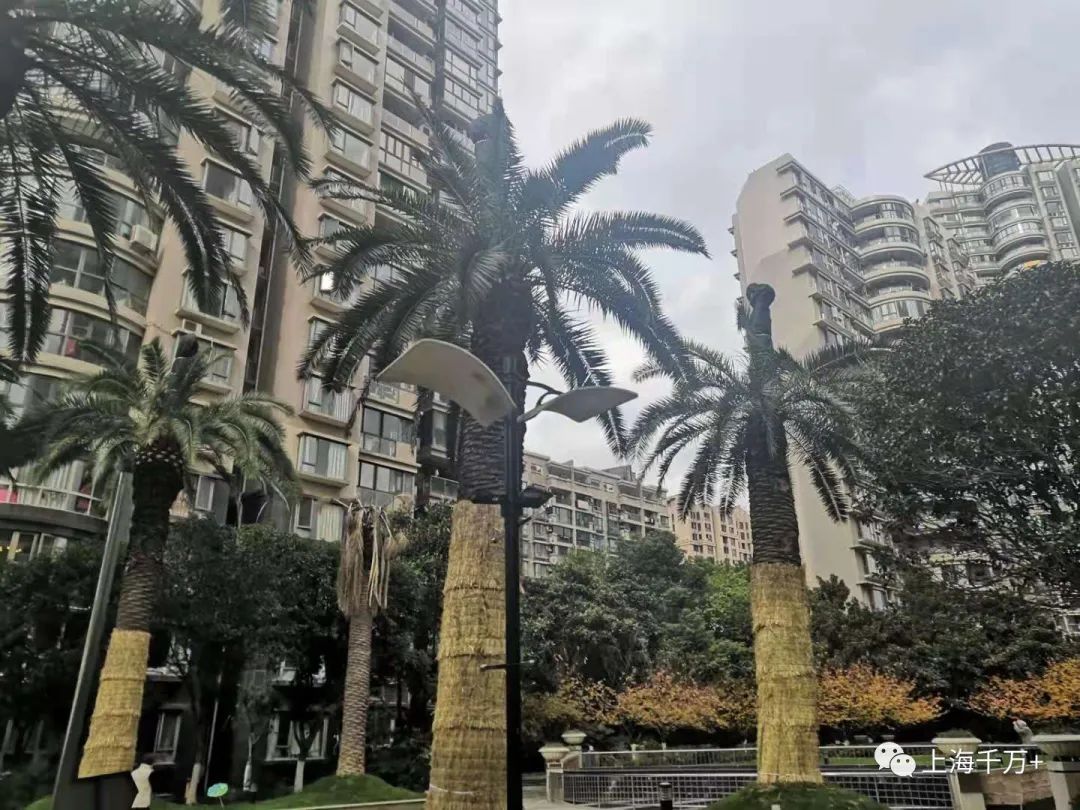 上海世博滨江最新规划图,上海保利世博滨江项目