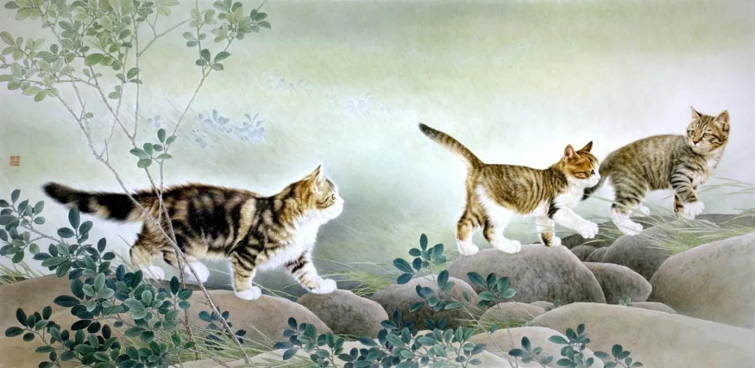 邢诚爱工笔画猫的图片,邢诚爱工笔画猫兔子高清大图