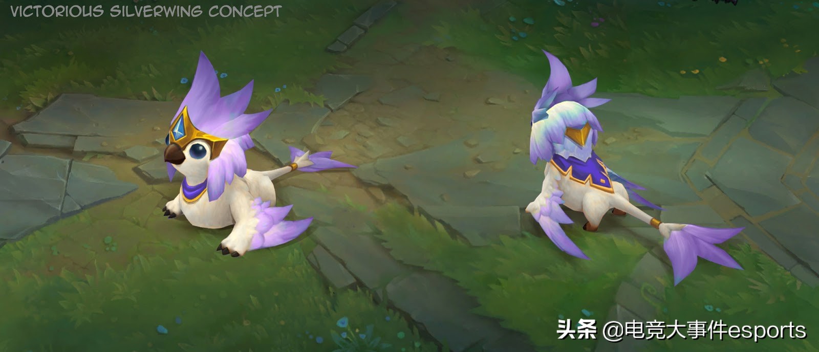 lol云顶之弈最新赛季刷新概率,lol云顶之弈新赛季排位奖励