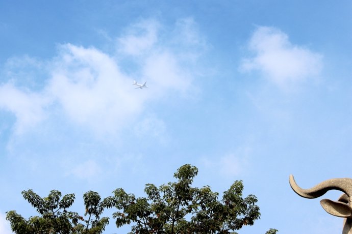 广东人对鸡情有独钟什么意思,为啥广东人喜欢吃鸡鸭鹅