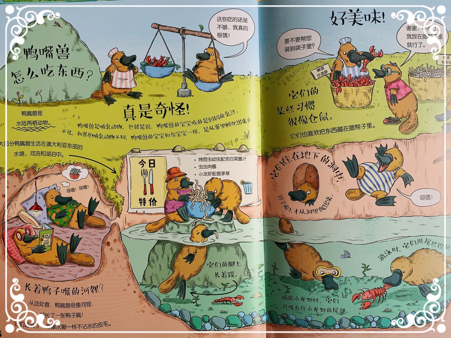 一起来观看动物界的“吃播”吧