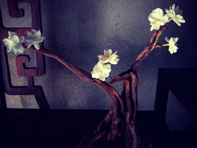 茉莉花精油一次用多少,重瓣茉莉精油