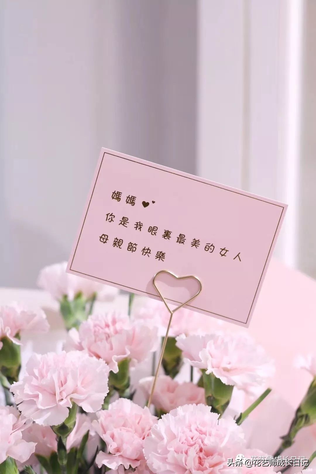 除了康乃馨以外送给妈妈什么花,母亲节送妈妈一束康乃馨