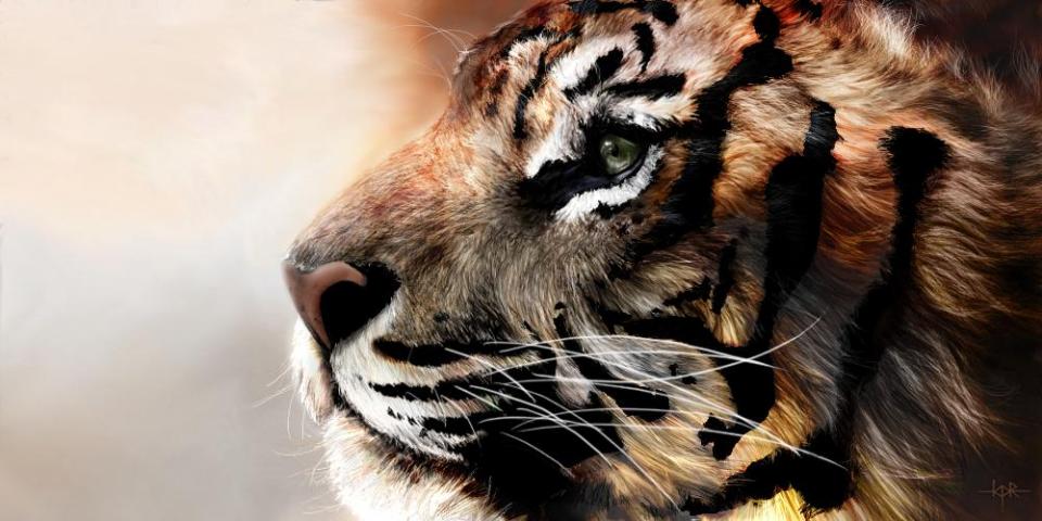 我国现存的老虎种类一览表,中国最古老的老虎是什么品种