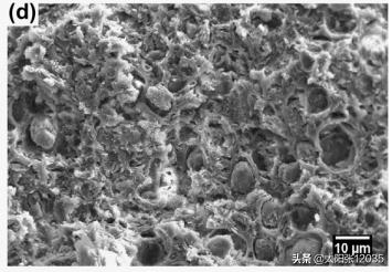 三聚氰胺纤维金雨薇学习翻译