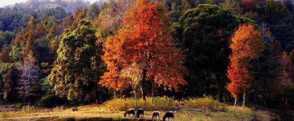 百色59个景点，不仅秀美，也有壮观