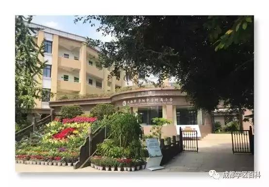 天府新区第四小学,元音小学天府新区