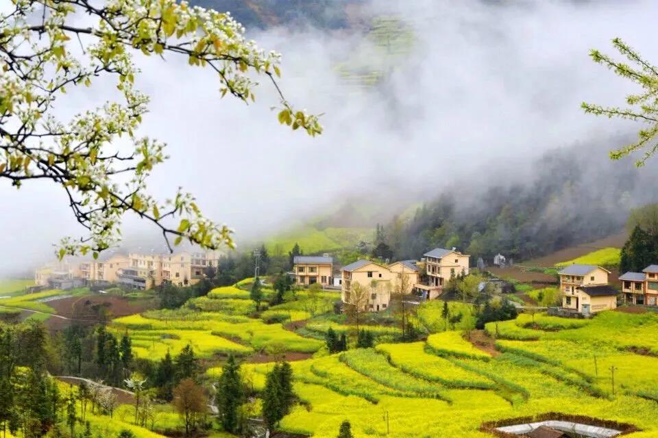 重庆北碚清明节踏青好去处,重庆巴南踏青一日游最佳攻略