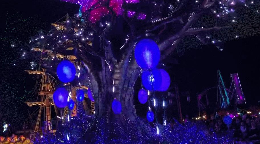 来一场说走就走的旅行珠海长隆,广东长隆及珠海长隆旅游攻略