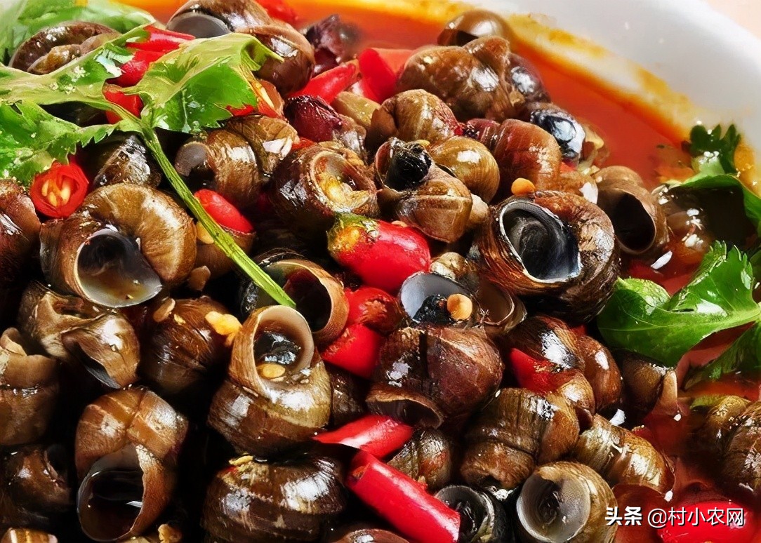 大学生回乡创业养殖土地政策,回乡养殖什么最赚钱