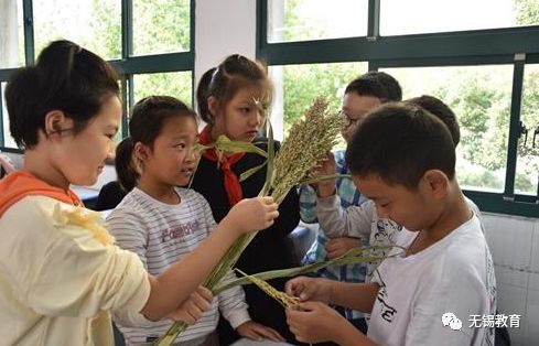 翻地、播种…无锡老小将课堂搬到了田间地头