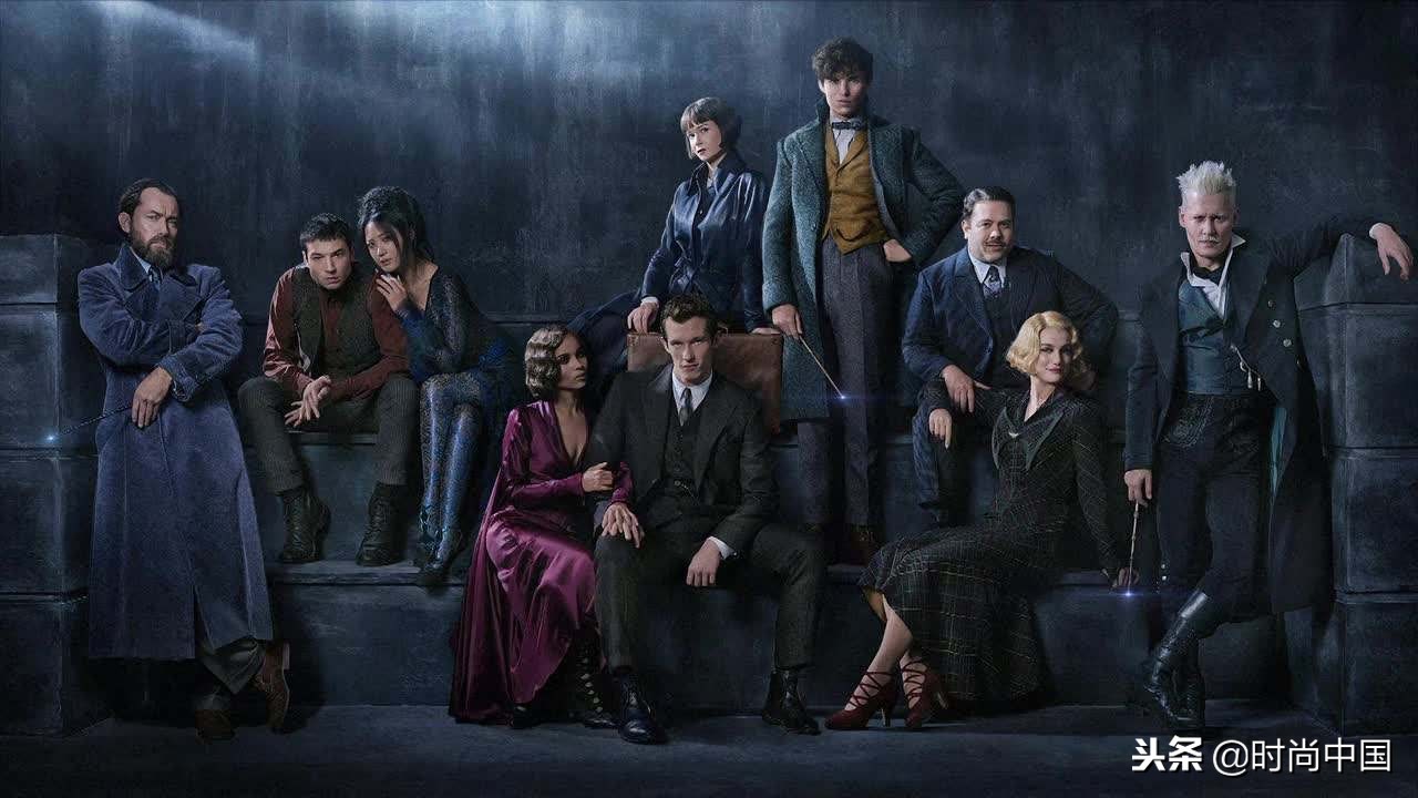 倪妮同款小猫咪,倪妮李宇春奇妙的动物