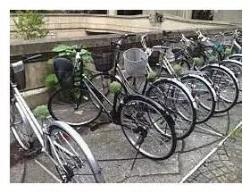 日本的著名学府东京大学，是一所怎样的学校？