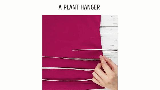 水培蔬菜家庭阳台种菜超简单,不用土在家种菜简单方法