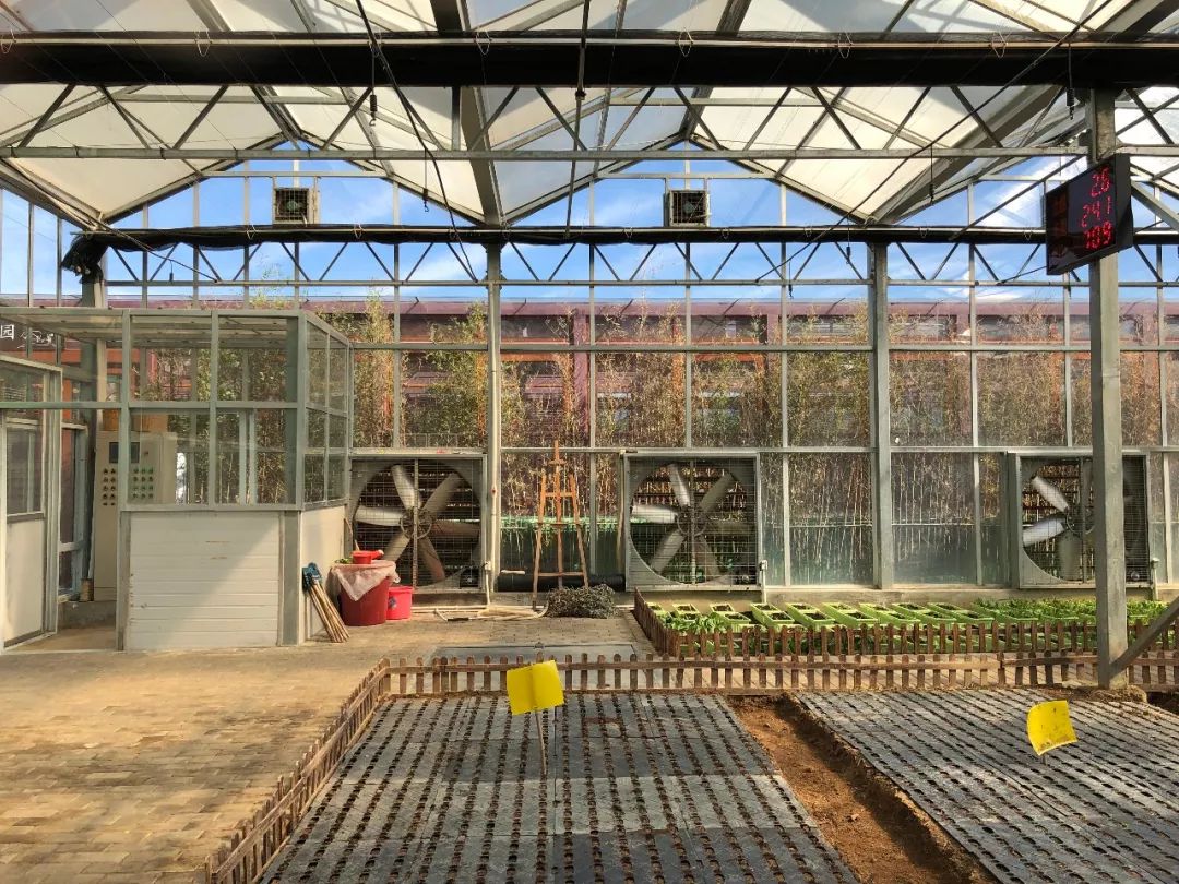 三亚这家口碑爆棚的酒店,三亚酒店最好看的一家