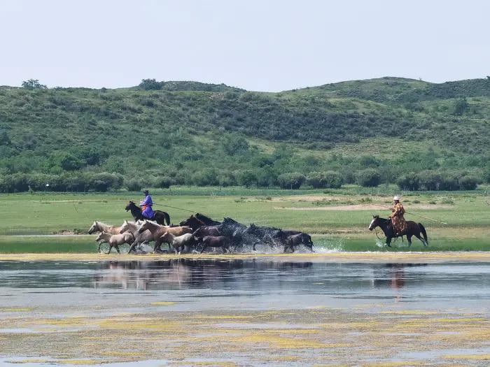 锡林郭勒草原冬天骑马,锡林郭勒盟大草原骑马