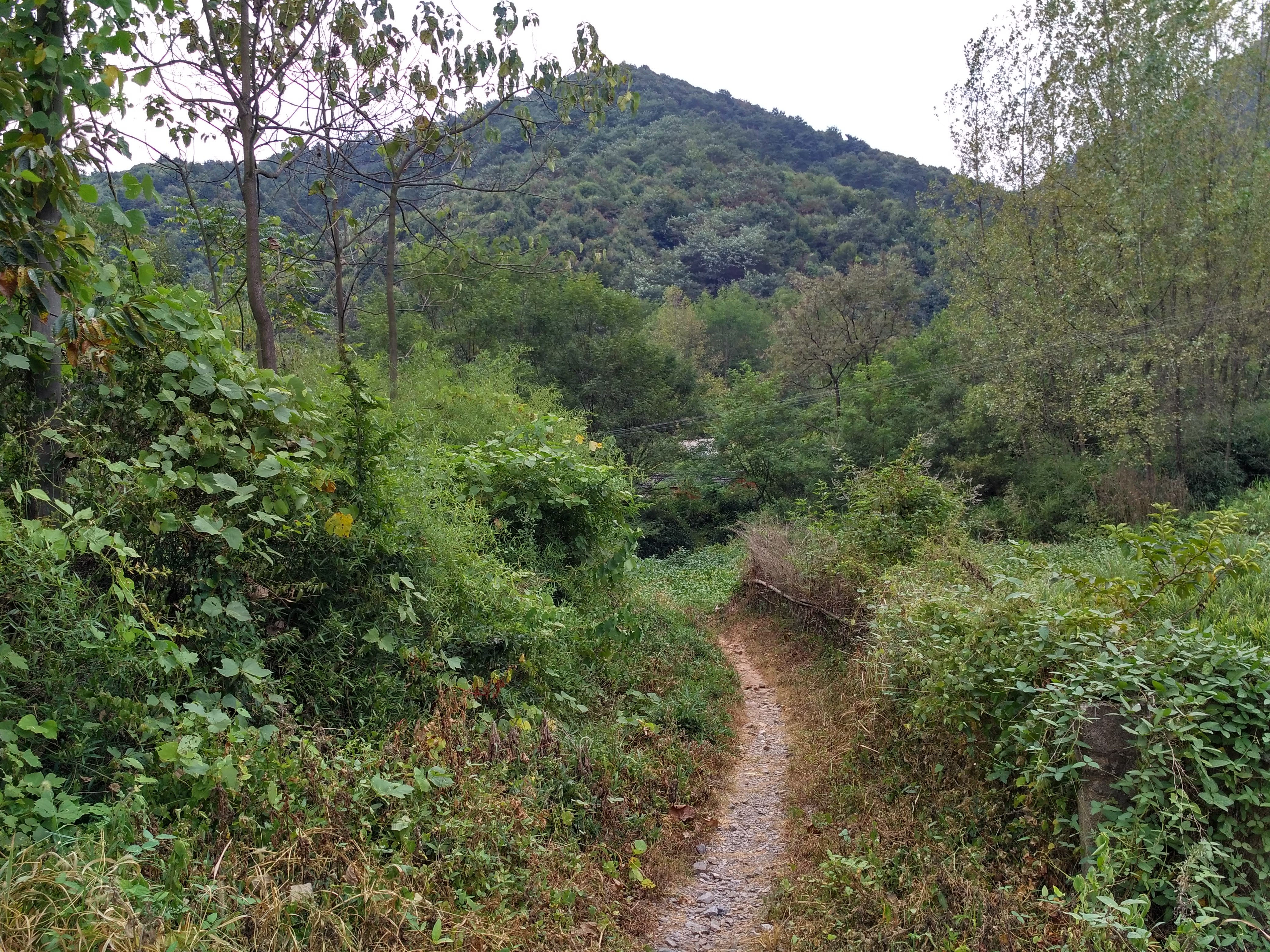 铜陵市义安区天门镇龙云村,安徽铜陵龙云村