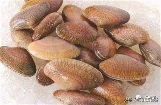 102种海鲜,营养丰富的海鲜有哪些品种