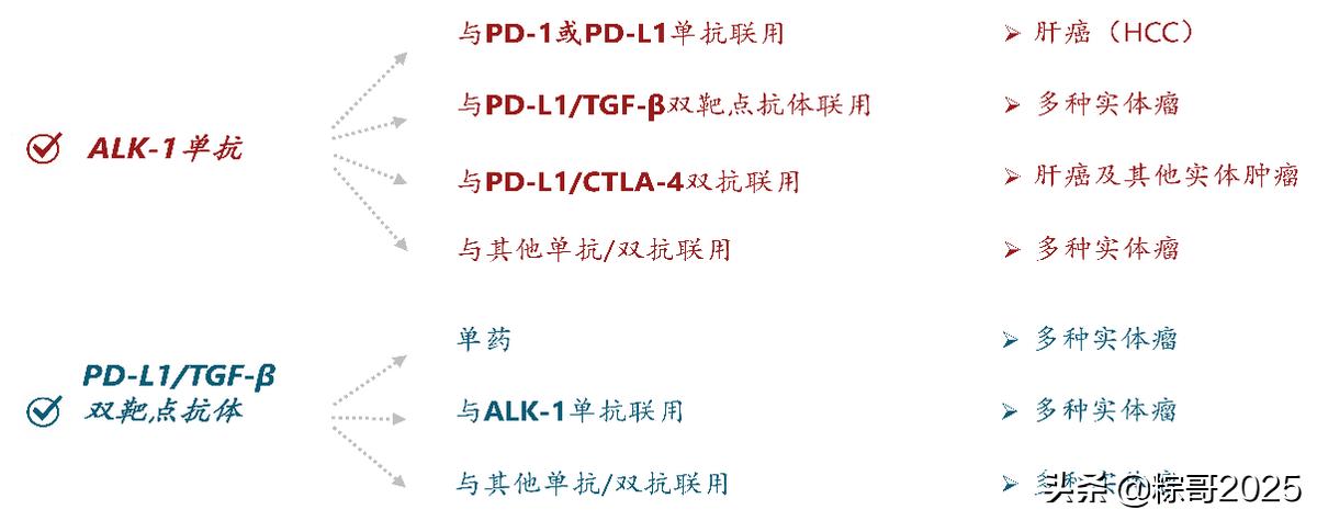 尚未实现盈利，股价却暴涨超5倍，开拓药业凭什么？