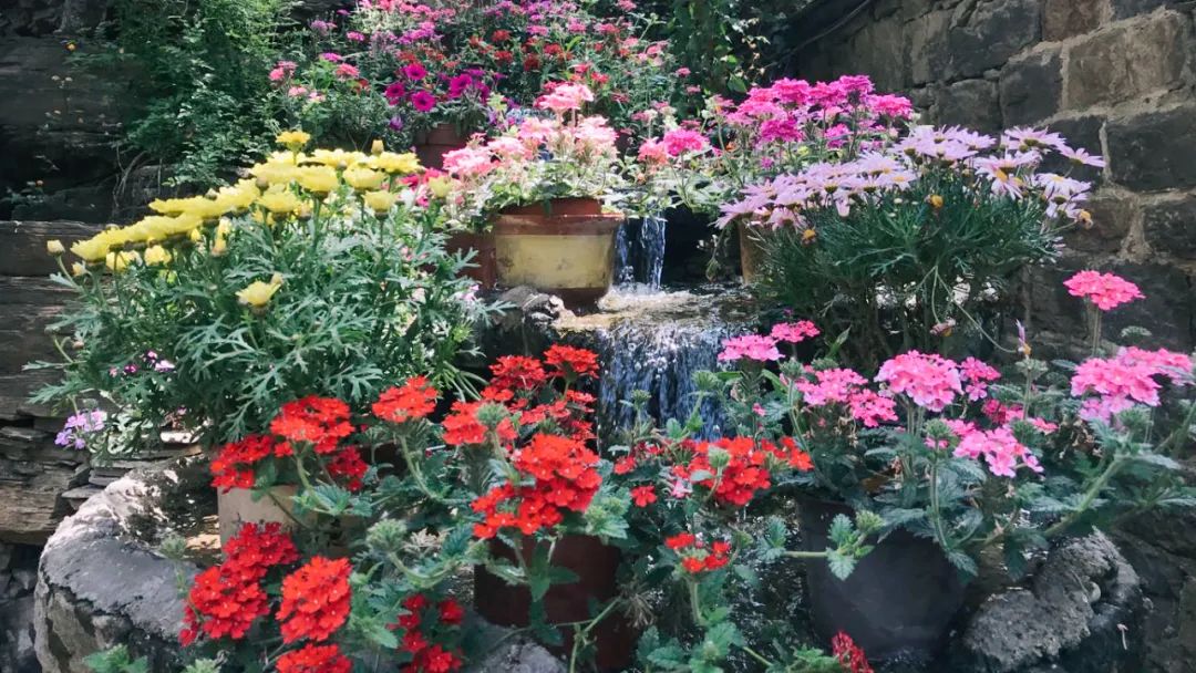 这个真实存在的古村落美如仙境,沂蒙山风景区内的古村落