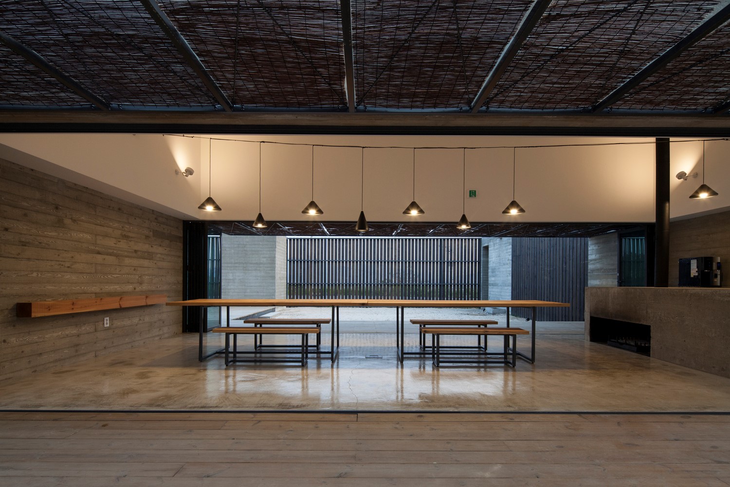 韩国蒲公英,韩国野生蒲公英的种植