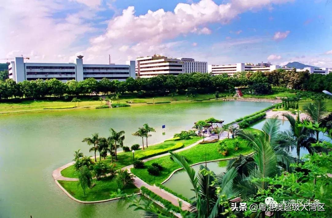 粤港澳大湾区大学生机遇与挑战,粤港澳大湾区热门专业