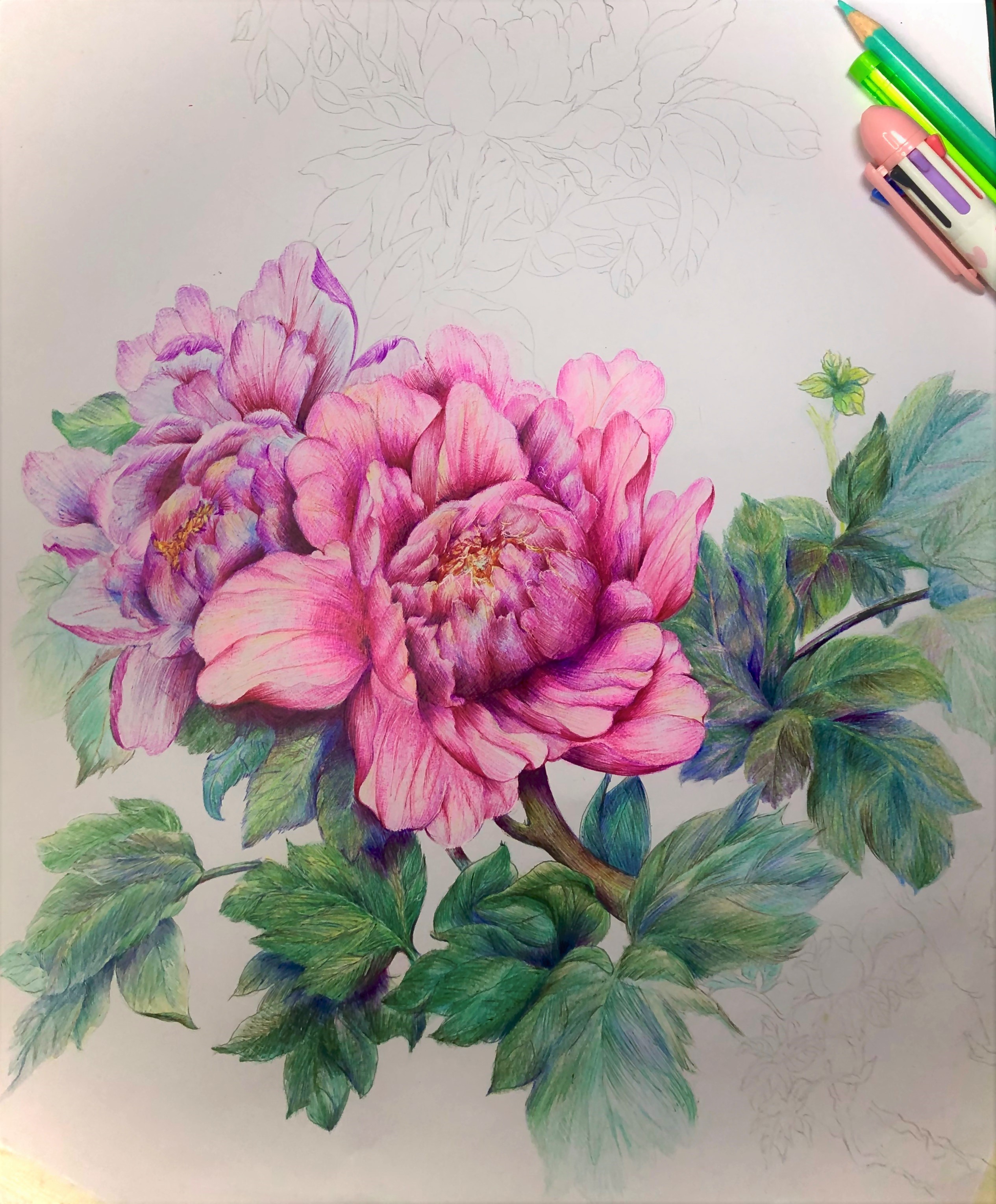 圆珠笔画牡丹教学,圆珠笔画牡丹的画法